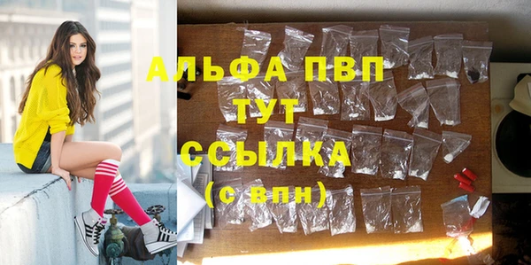 прущий лед Ладушкин