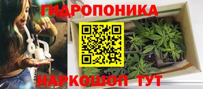 Альфа ПВП Дубна