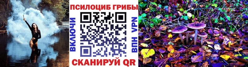 Галлюциногенные грибы Magic Shrooms  купить   kraken ONION  Тосно 