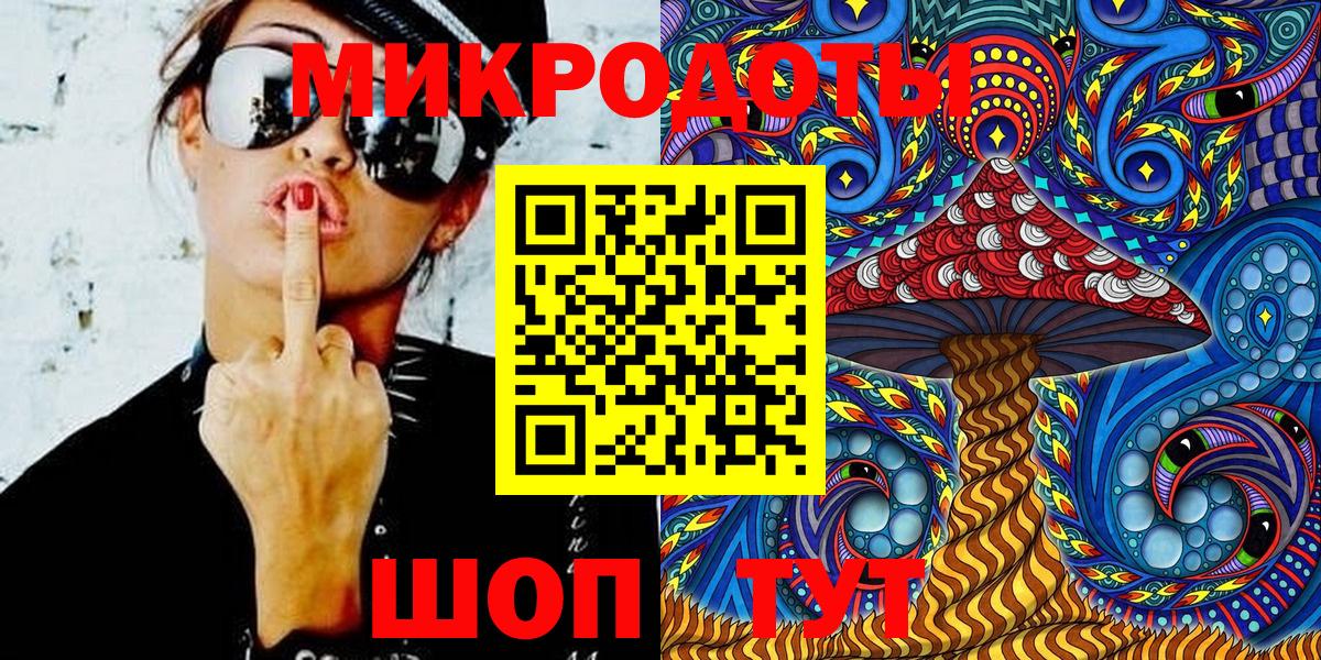 Тосно  хочу   Вход с VPN  Галлюциногенные грибы Psilocybine cubensis 