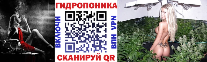 закладки  Тосно  МАРИХУАНА индика 